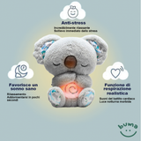 NANNA  KOALA    IN PIU'  E-BOOK OMAGGIO